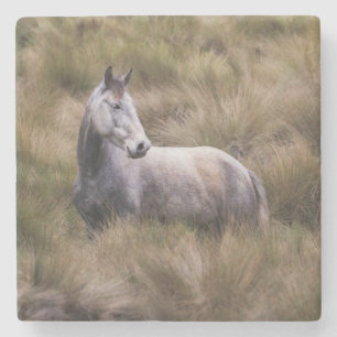 Posavasos De Piedra Hermoso caballo de color gris