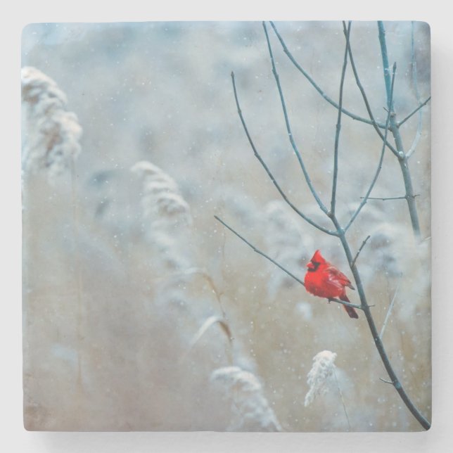 Posavasos De Piedra Hermoso cardenal en la nieve (Anverso)