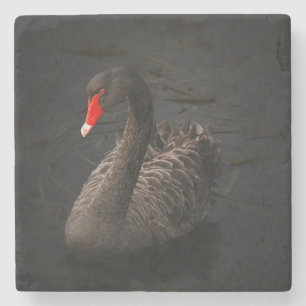 Posavasos De Piedra Hermoso cisne negro con un brillante pico rojo