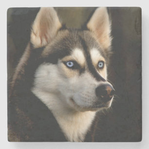 Posavasos De Piedra Hermoso Cojín decorativo Husky