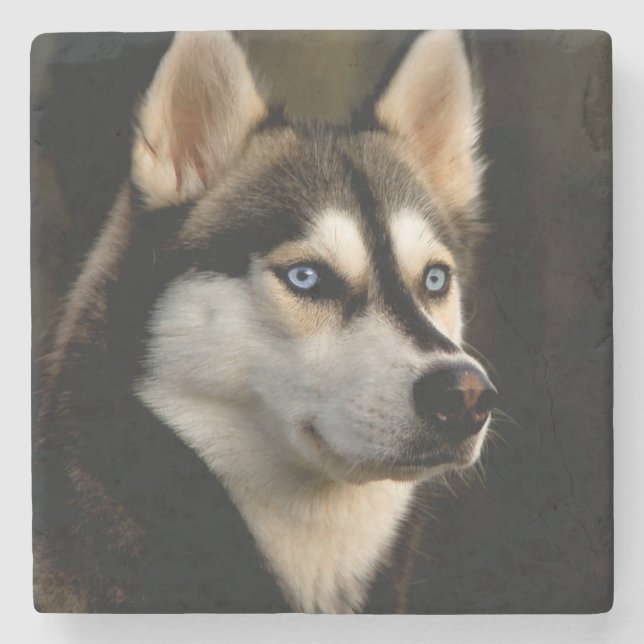 Posavasos De Piedra Hermoso Cojín decorativo Husky (Anverso)