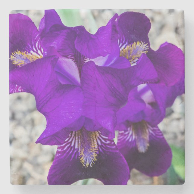 Posavasos De Piedra Hermoso iris morado (Anverso)