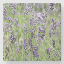 Posavasos De Piedra Hermoso Lavanda