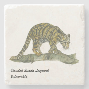Posavasos De Piedra Hermoso leopardo nublado en peligro de extinción