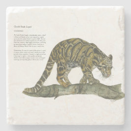 Posavasos De Piedra Hermoso leopardo nublado en peligro de extinción