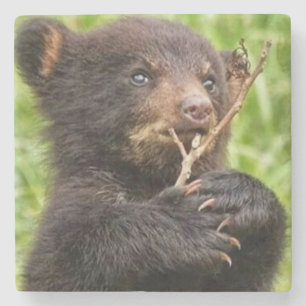 Posavasos De Piedra Hermoso oso bebé