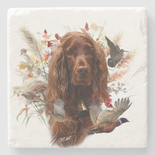 Posavasos De Piedra Hermoso Red Setter Irlandés