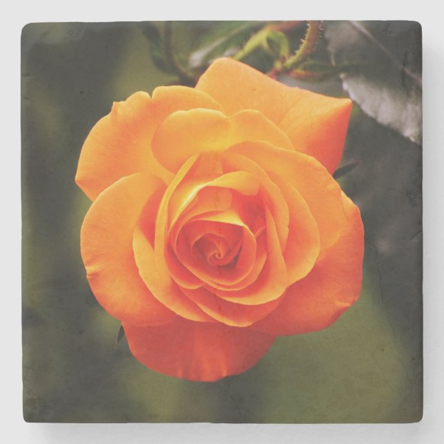 Posavasos De Piedra Hermoso Rosa Naranja (Anverso)