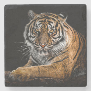 Posavasos De Piedra Hermoso Tigre con Fondo Negro