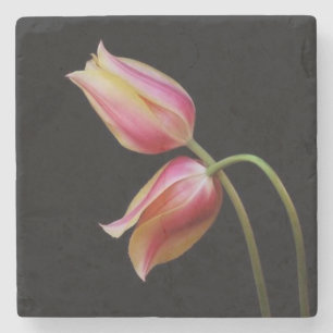 Posavasos De Piedra Hermosos Tulips