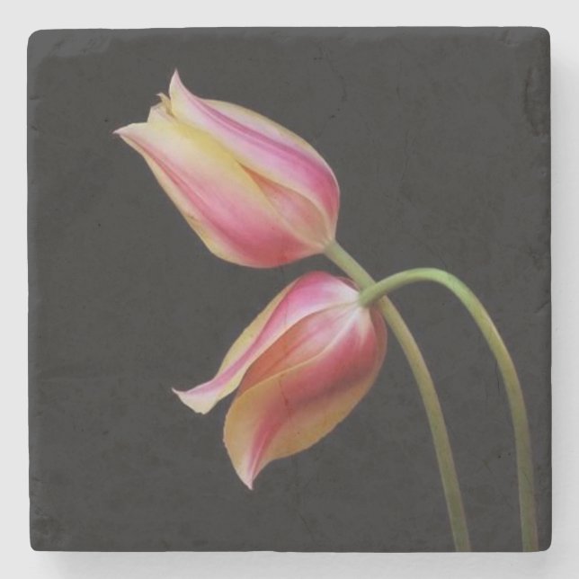 Posavasos De Piedra Hermosos Tulips (Anverso)