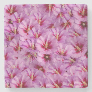 Posavasos De Piedra Hibiscus - Patrón de flor Rosa chino