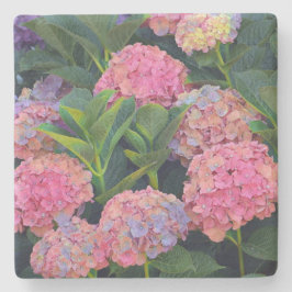 Posavasos De Piedra Hidrangea colorida