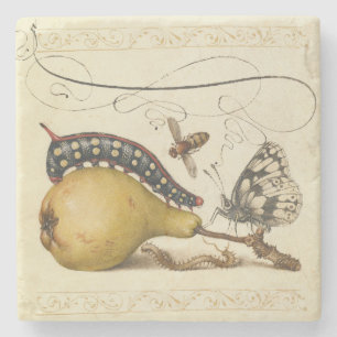 Posavasos De Piedra Hoefnagel Vintage Pera & Insectos 1500s Renacimien