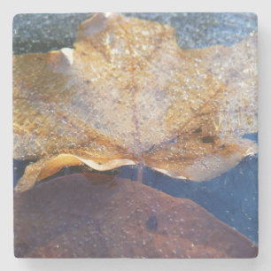 Posavasos De Piedra Hoja de Arce Amarillo Congelada Otoño Naturaleza