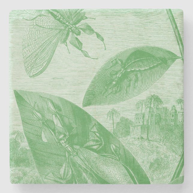 Posavasos De Piedra Hoja de vuelo de Katydid del verde de la (Anverso)