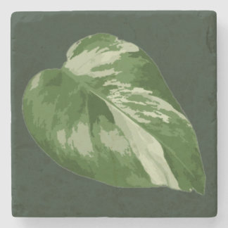 Posavasos De Piedra Hoja Tropical Elegante – Arte de Planta Rara