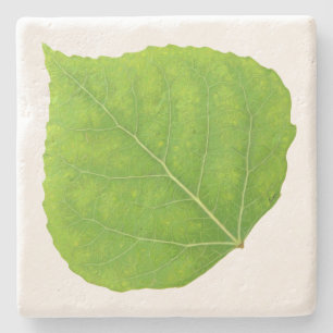 Posavasos De Piedra Hoja verde de lápiz #11