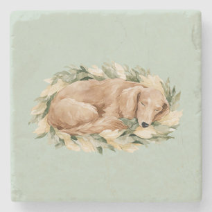 Posavasos De Piedra Hojas Amarillas Verdes Caen Perro Durmiendo 