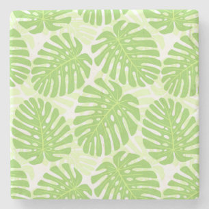 Posavasos De Piedra Hojas De La Planta Tropical - Modelo Monstera