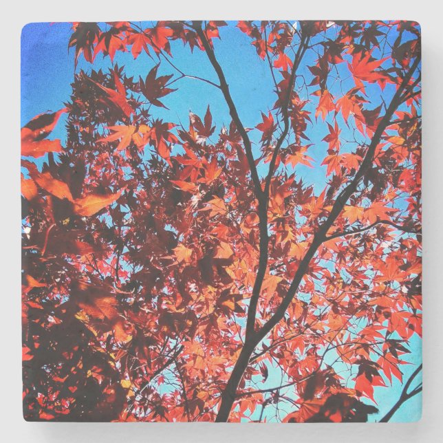 Posavasos De Piedra Hojas de otoño (Anverso)