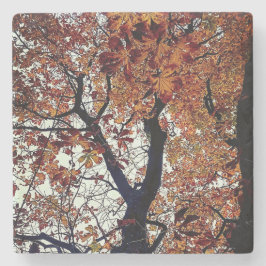 Posavasos De Piedra Hojas doradas