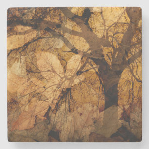Posavasos De Piedra Hojas doradas y marrones  Isla Merritt, FL
