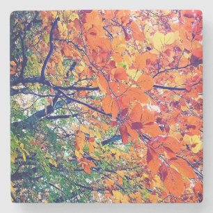 Posavasos De Piedra hojas naranja y verde