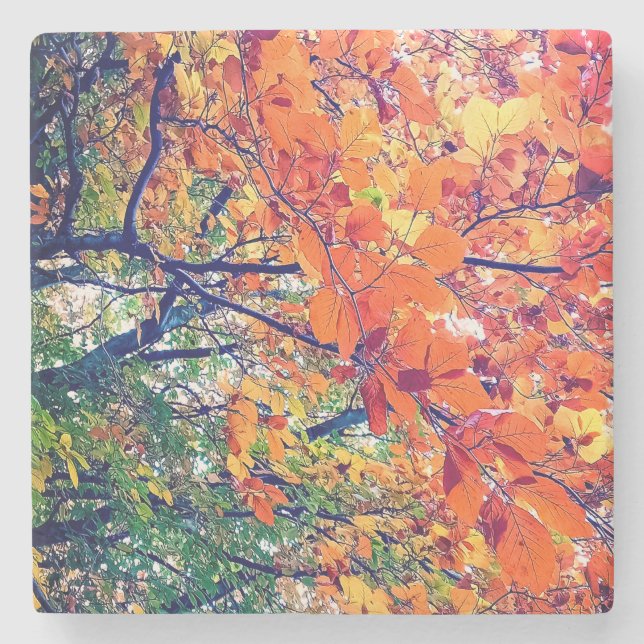 Posavasos De Piedra hojas naranja y verde (Anverso)