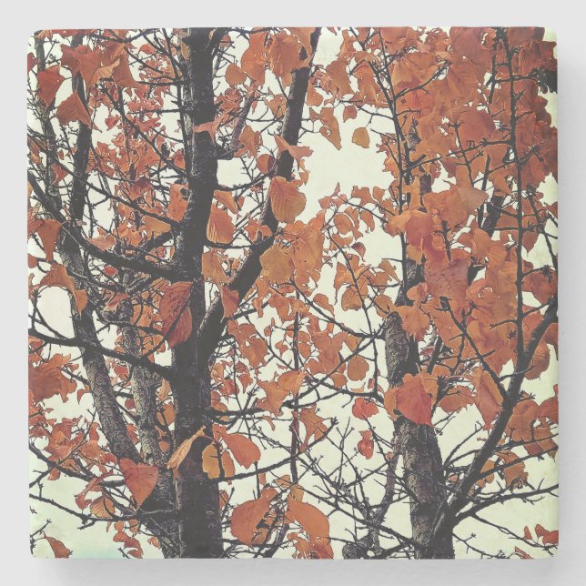 Posavasos De Piedra hojas naranjas (Anverso)