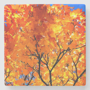 Posavasos De Piedra hojas naranjas