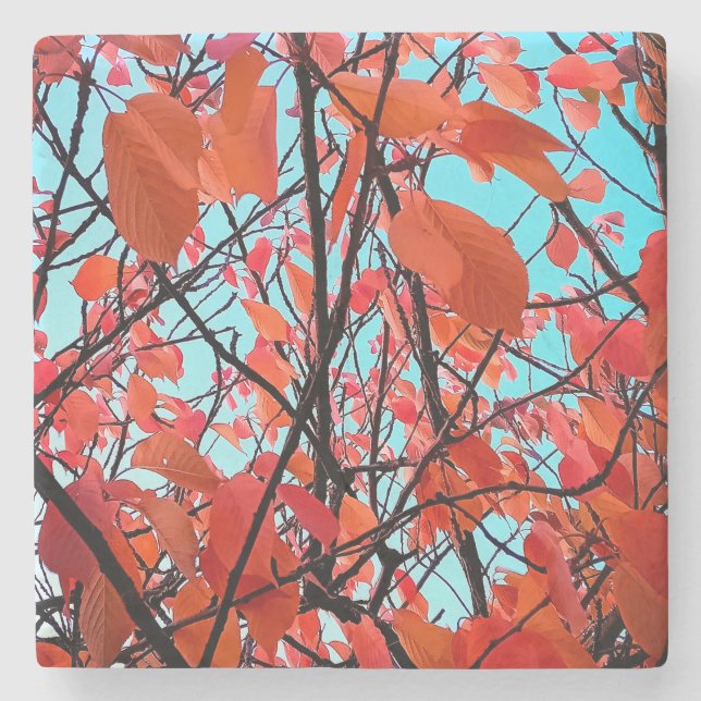 Posavasos De Piedra hojas naranjas (Anverso)