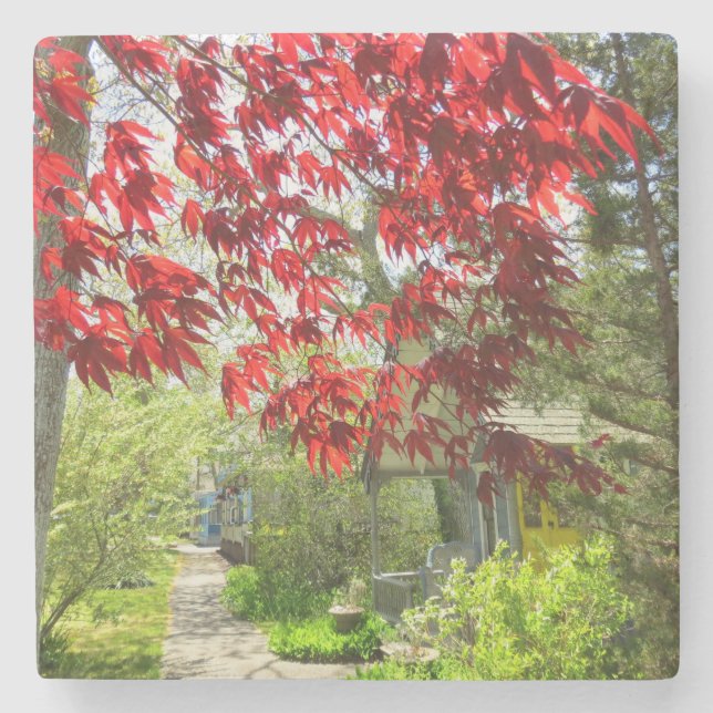 Posavasos De Piedra Hojas rojas y pasarela - Viñedo de Martha (Anverso)