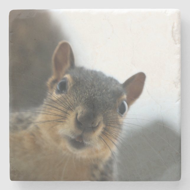 Posavasos De Piedra Hola. (Anverso)