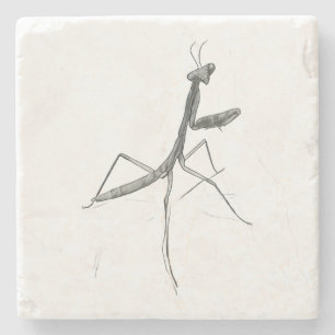 Posavasos De Piedra Hola, Mantis religiosa