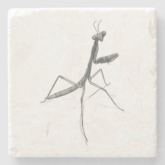 Posavasos De Piedra Hola, Mantis religiosa