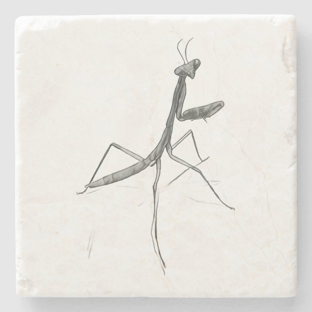 Posavasos De Piedra Hola, Mantis religiosa (Anverso)