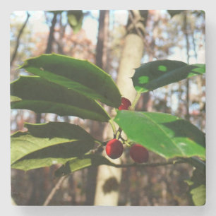 Posavasos De Piedra Holly Leaves I Holiday Botanical