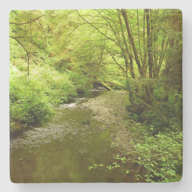 Posavasos De Piedra Hombre perdido en el parque nacional Redwood (Anverso)