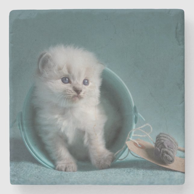 Posavasos De Piedra Hora de jugar (Anverso)