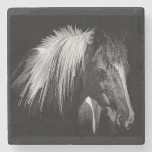 Posavasos De Piedra Horsehead Coaster