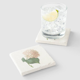 Posavasos De Piedra hortensia (SP del Hydrangea.) por Redouté