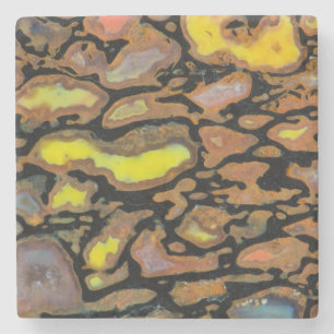 Posavasos De Piedra Hueso de Dinosaurio de Colores Múltiples
