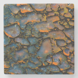 Posavasos De Piedra Hueso de dinosaurio petrificado naranja
