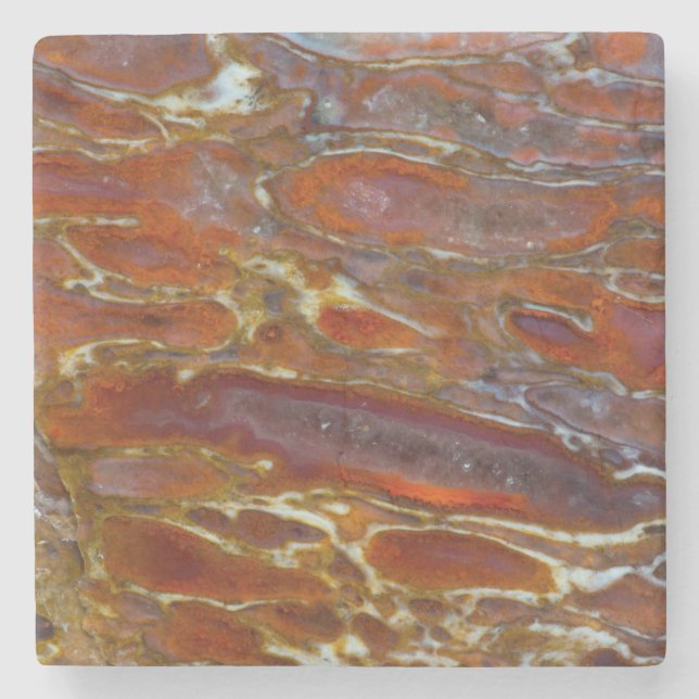 Posavasos De Piedra Hueso Petrificado de dinosaurio (Anverso)