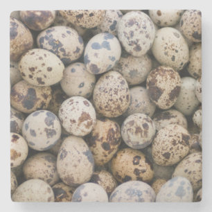 Posavasos De Piedra Huevos de Codorniz, Huaraz, Cordillera Blanca, Anc