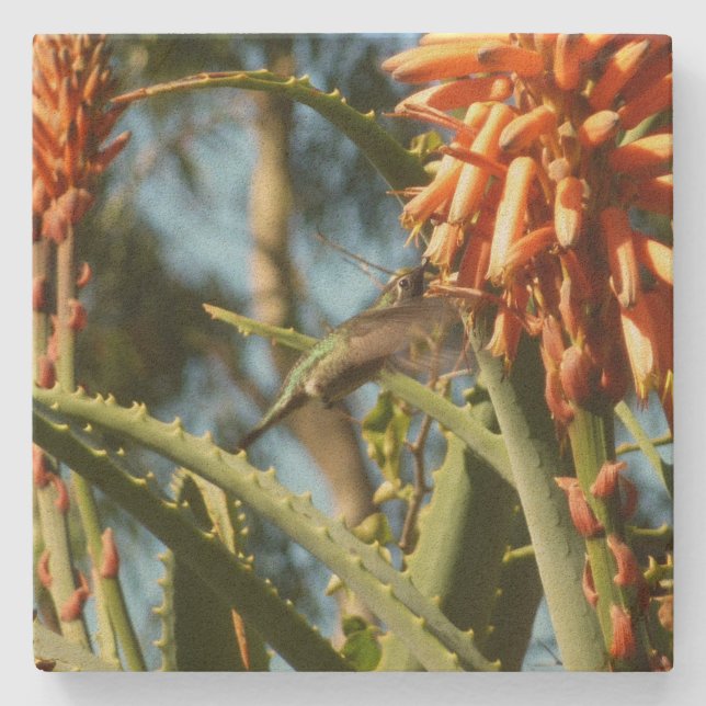 Posavasos De Piedra Hummingbird de color negro en vuelo (Anverso)