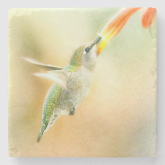 Posavasos De Piedra Hummingbird en la luz de la madrugada (Anverso)