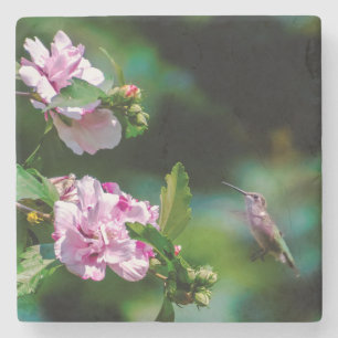 Posavasos De Piedra Hummingbird - Fotografía original