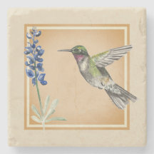 Hummingbird y Bluebonnet sobre fondo neutral